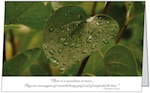 Green Leaves Sympathy Card